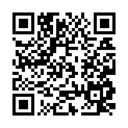 QR code for Carl Technology