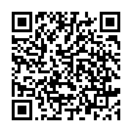 QR code for Nanuel's Investment Company Sierra Leone Ltd