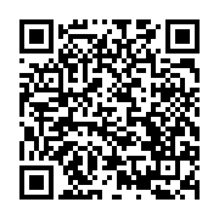 QR code for Type A House of Electronics SL Ltd.